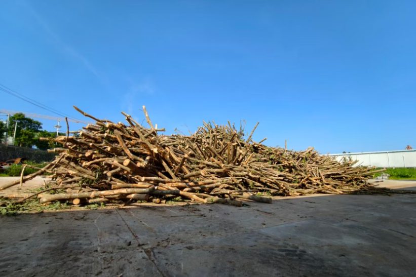 Managed plantation raw material for biomass pellets